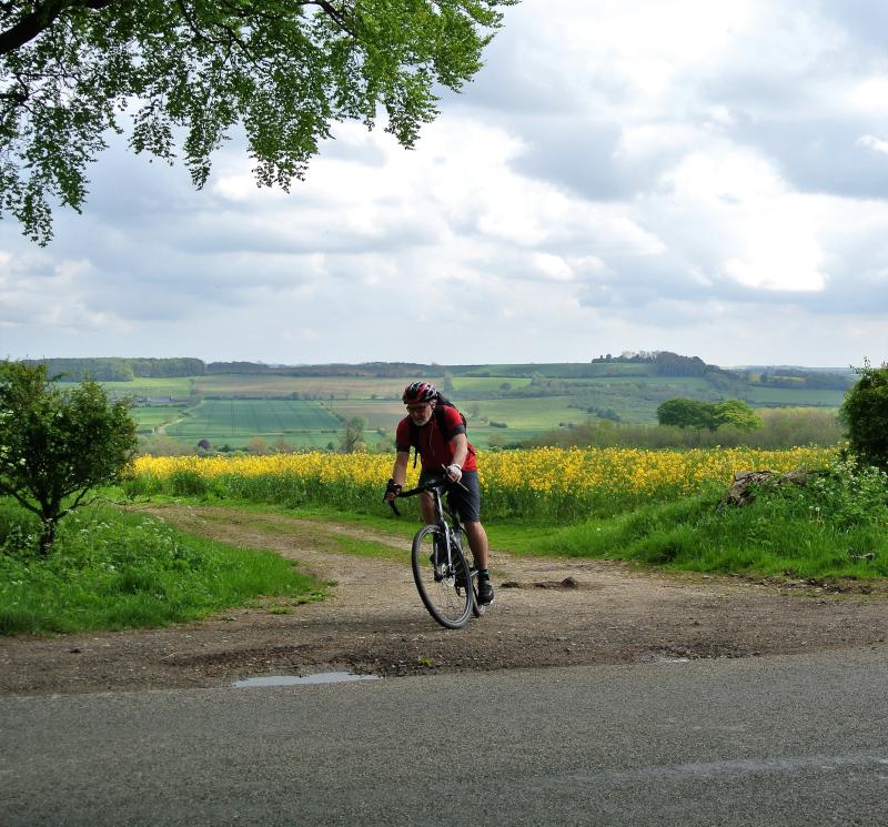 Flat bike rides near hotsell me
